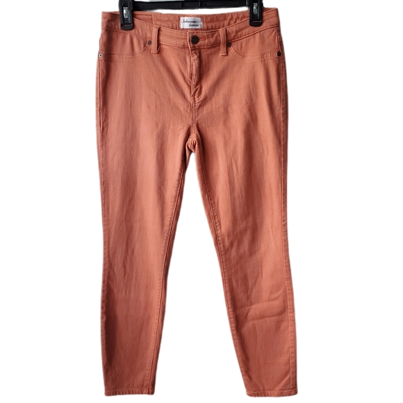 Lakeview Denim Mid Rise Salmon Skinny Jeggings Size 29 - Picture 1 of 13